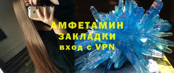 прущие грибы Ростов