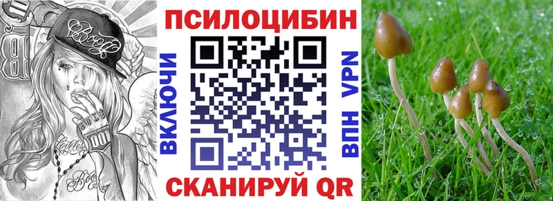 Галлюциногенные грибы GOLDEN TEACHER  Тулун 